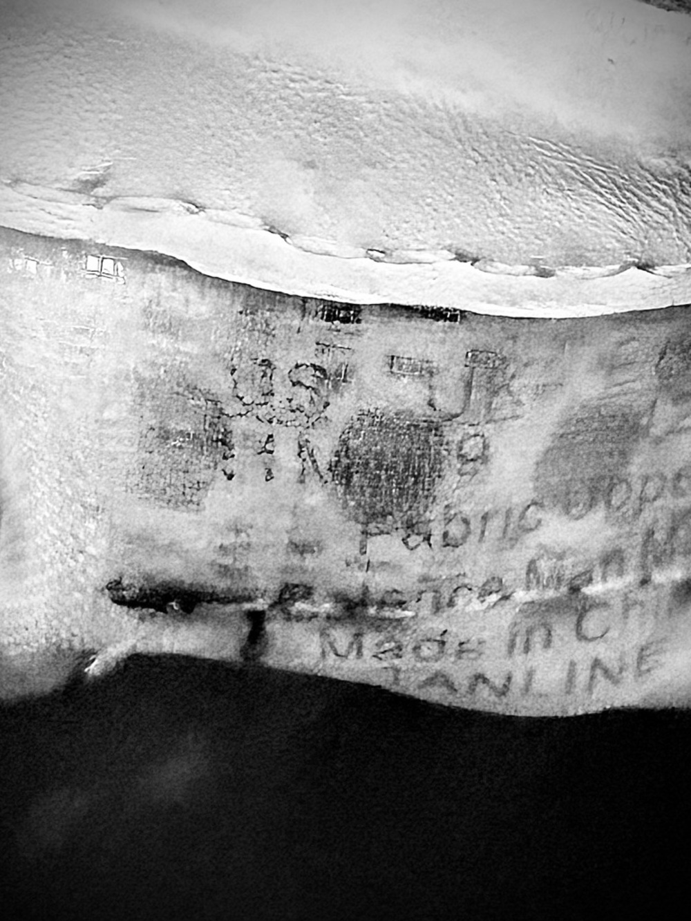 Blowfish Malibu Women’s Sneakers NIB size 11M - Picture 8 of 10